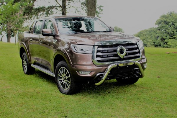GWM P Series Nudge Bar - Stainless Steel - 2021+